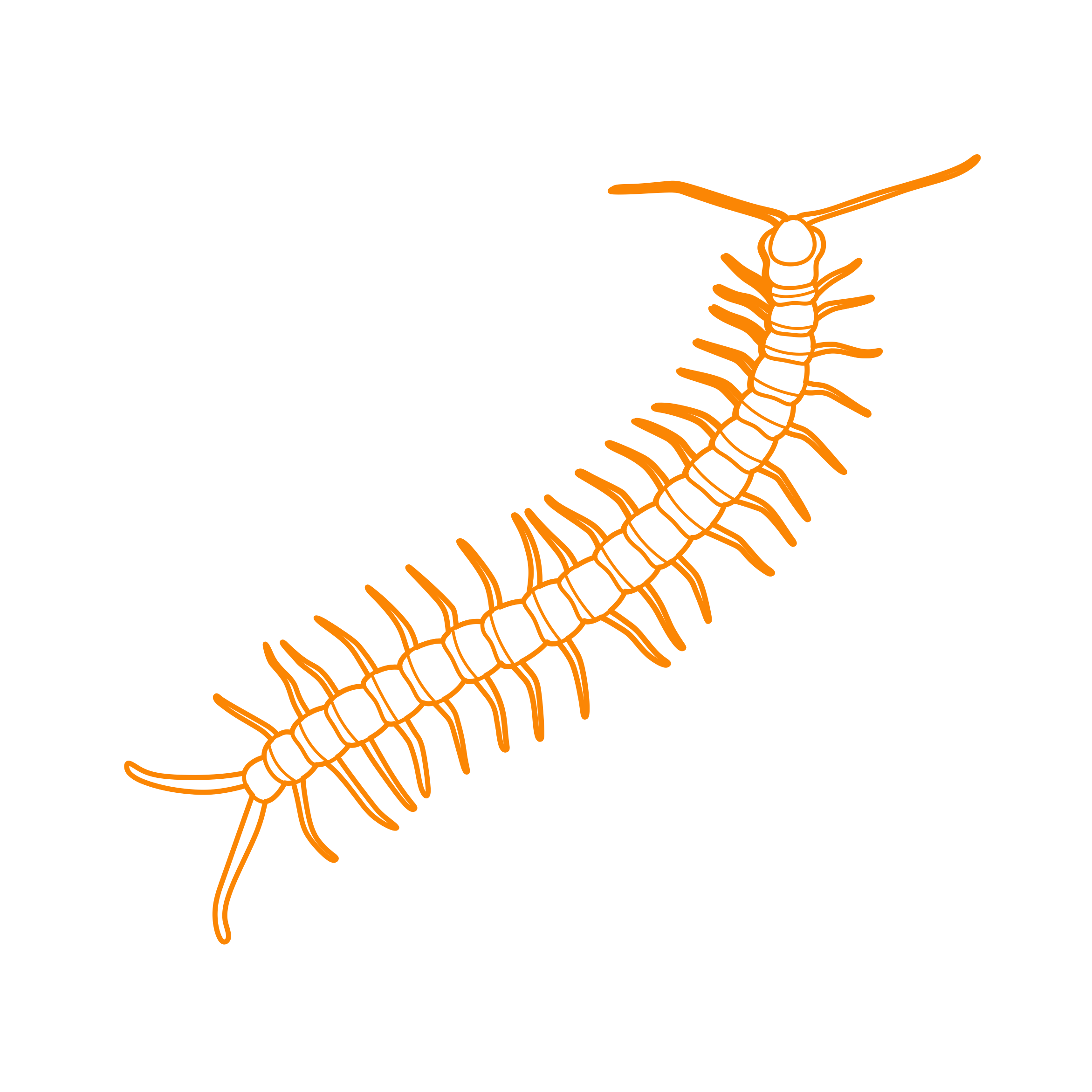 Animals Myriapods Tiger Centipede Engraving Svg Design Free Vectors
